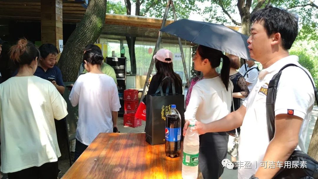 【丰盈科技】团建丨凝聚团队力量,携手共创辉煌